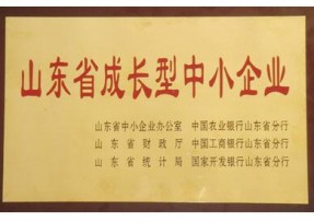 山东省成长型中小企业